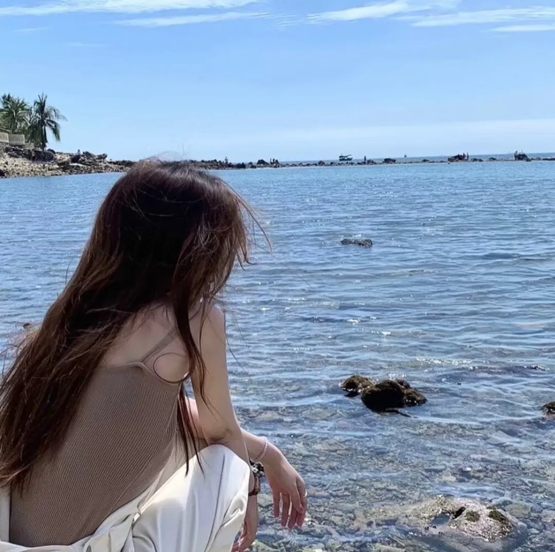 谍报飞龙